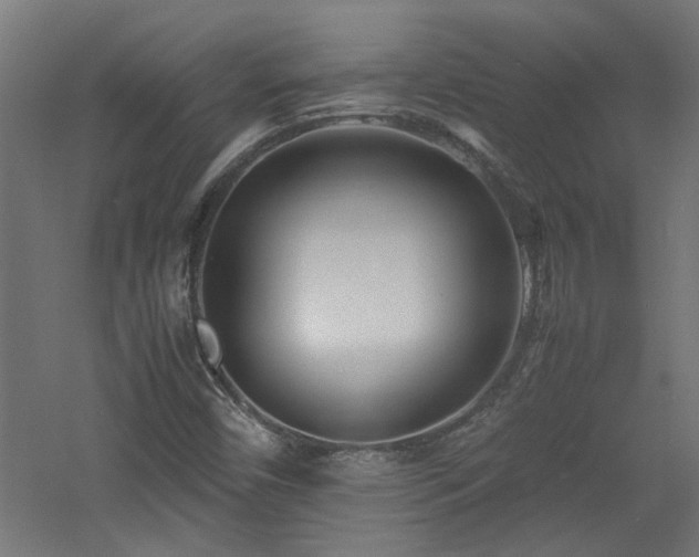 X0000060771450200511101201