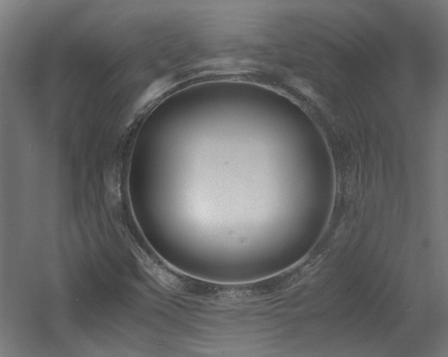 X0000060771451200511101201