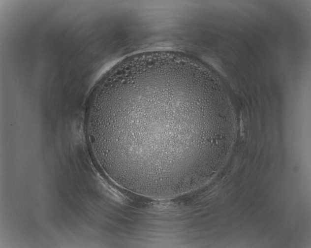 X0000060771452200511101201