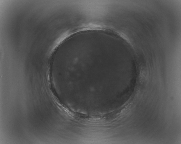 X0000060771455200511101201