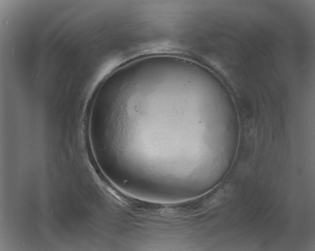 X0000060771463200511101201