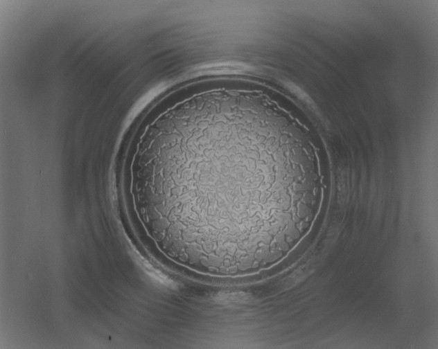 X0000060771466200511101201