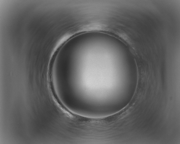 X0000060771469200511101201