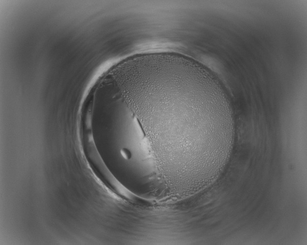 X0000060771472200511101201