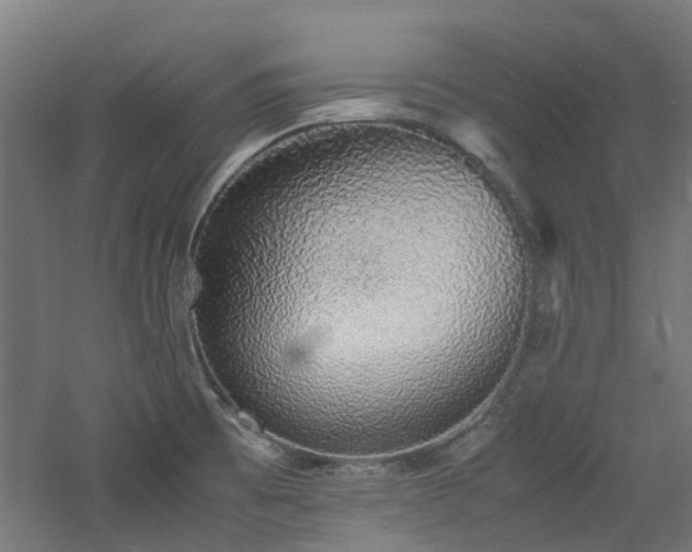 X0000060771473200511101201