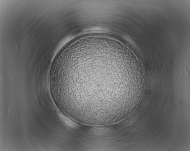 X0000060771474200511101201
