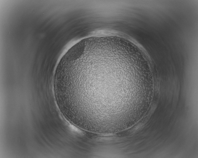 X0000060771486200511101201