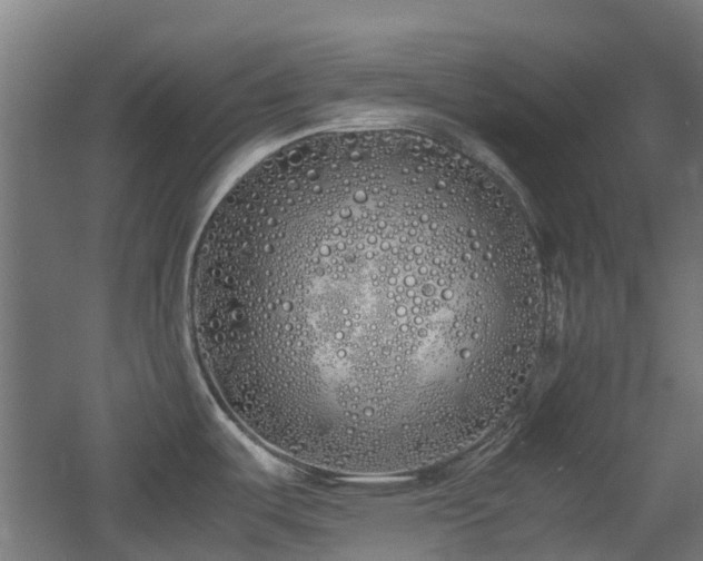 X0000060771487200511101201