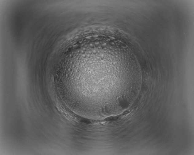 X0000060771489200511101200