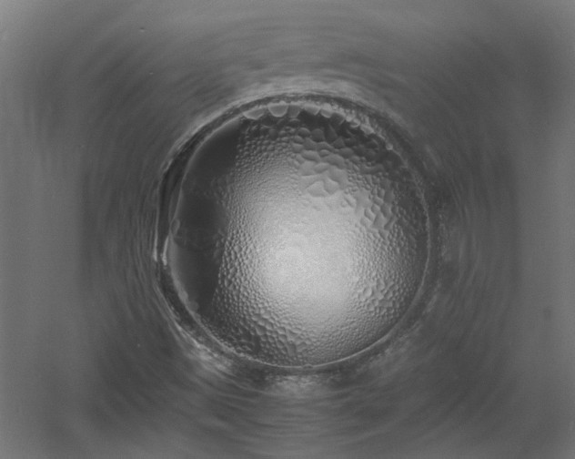 X0000060771497200511101200
