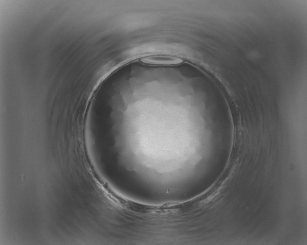 X0000060771529200511101201