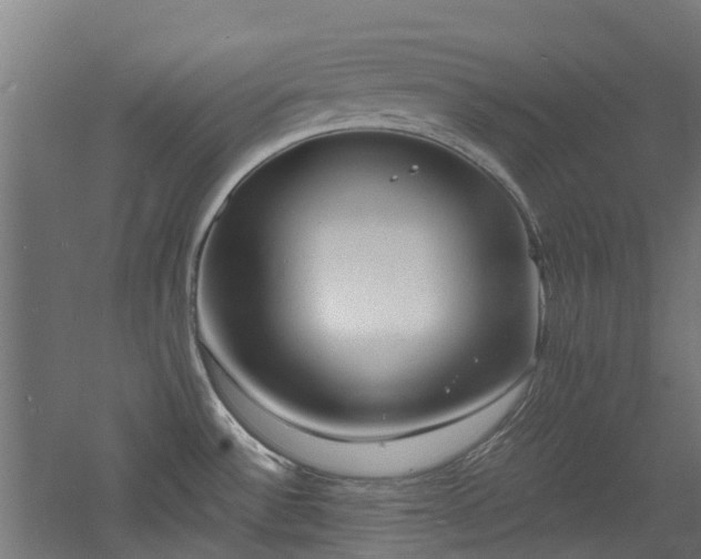 X0000060771532200511101201
