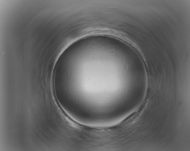 X0000060771533200511101201