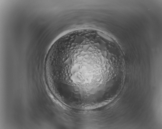 X0000060771534200511101201