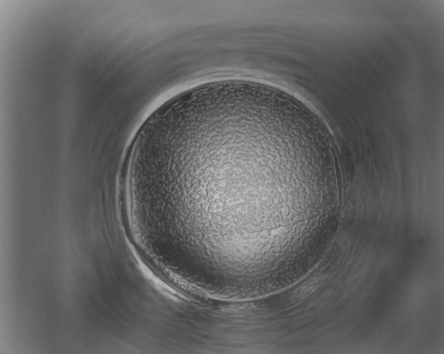 X0000060771535200511101201