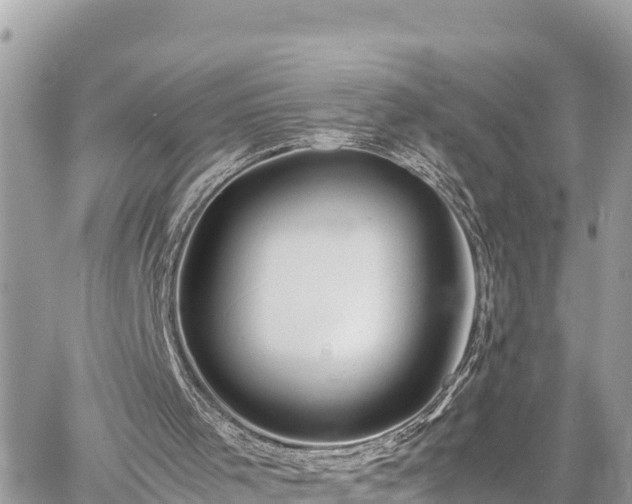 X0000060770001200511141309