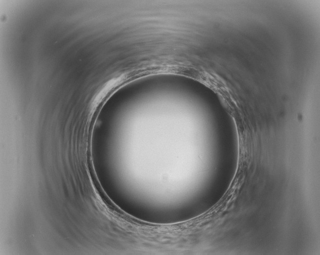 X0000060770003200511141309