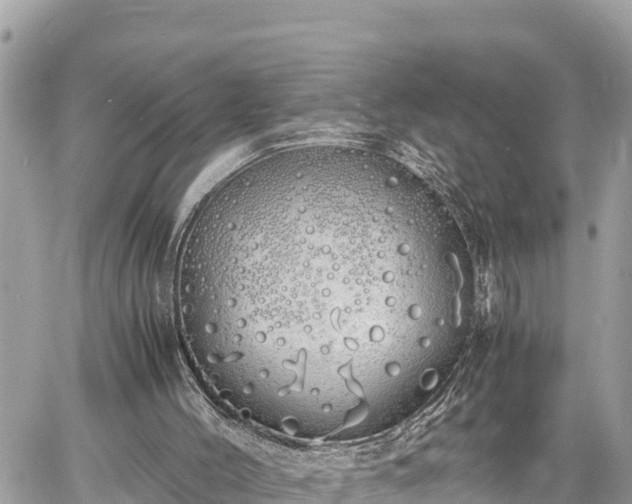 X0000060770004200511141309