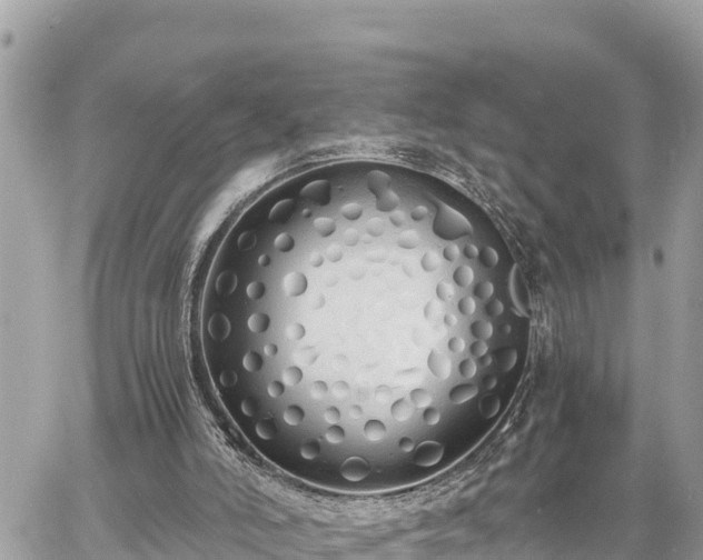 X0000060770006200511141309