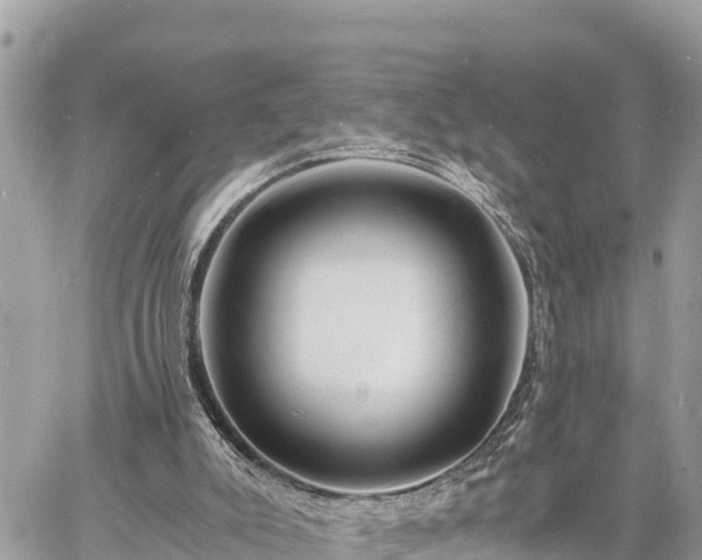 X0000060770007200511141309