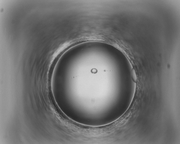 X0000060770008200511141309