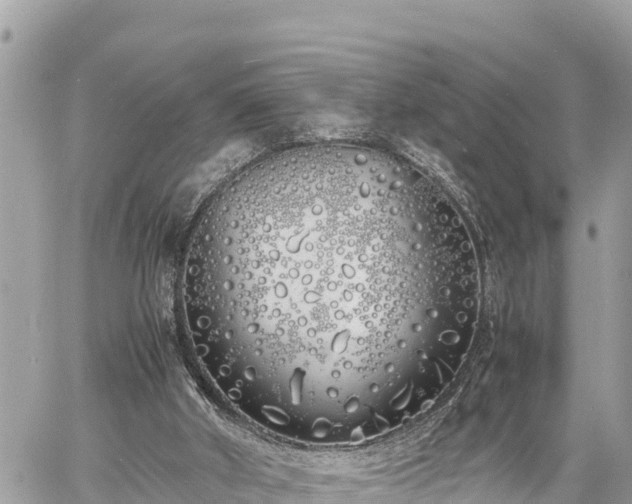 X0000060770010200511141309