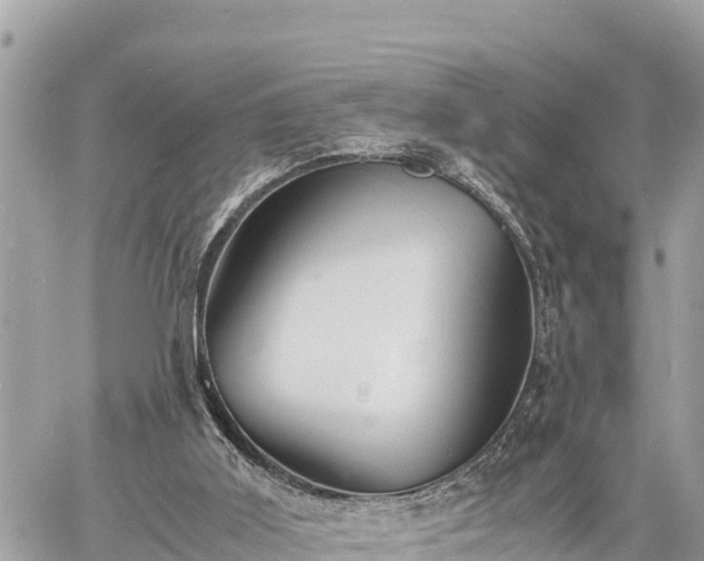 X0000060770011200511141309