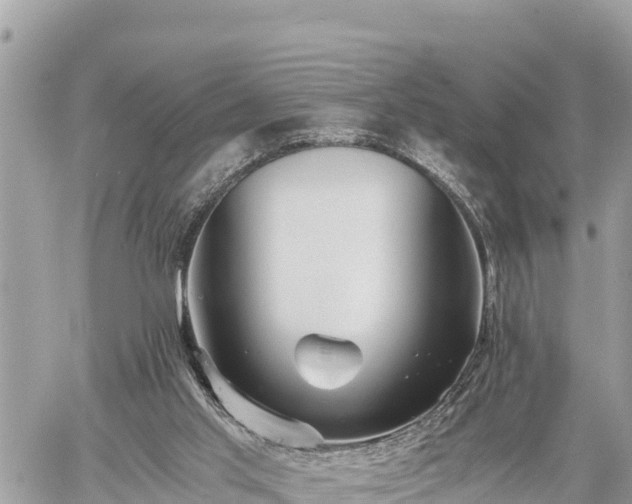 X0000060770013200511141309