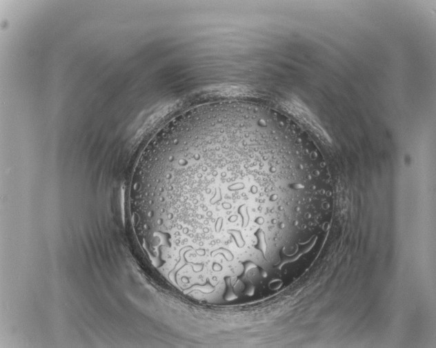 X0000060770014200511141309