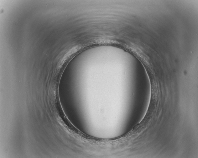 X0000060770015200511141309