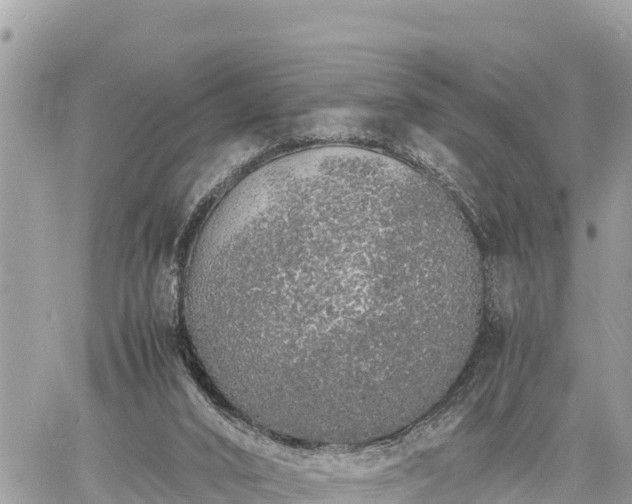 X0000060770016200511141309