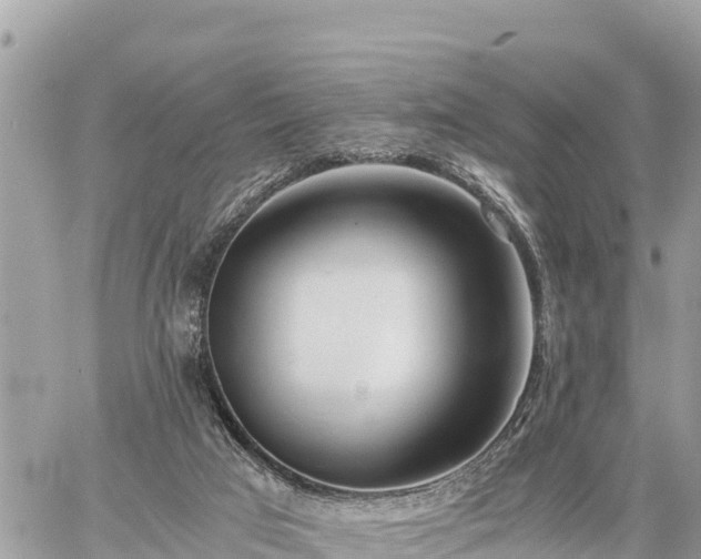 X0000060770017200511141309