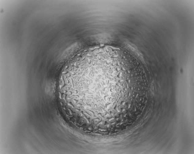 X0000060770018200511141309