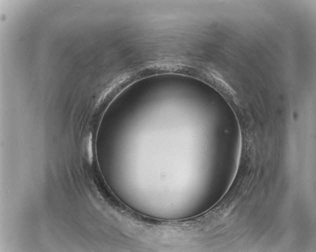 X0000060770020200511141309