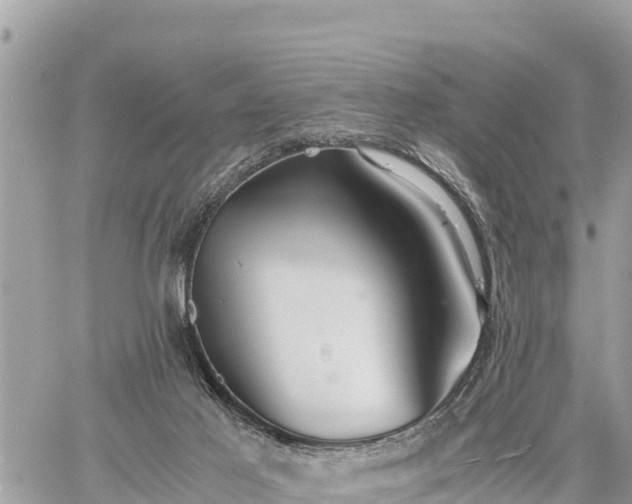 X0000060770021200511141309