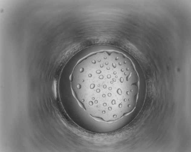 X0000060770022200511141309