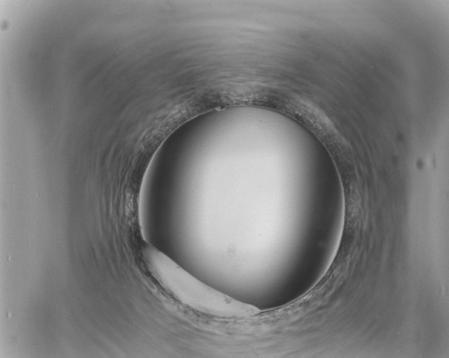 X0000060770025200511141309