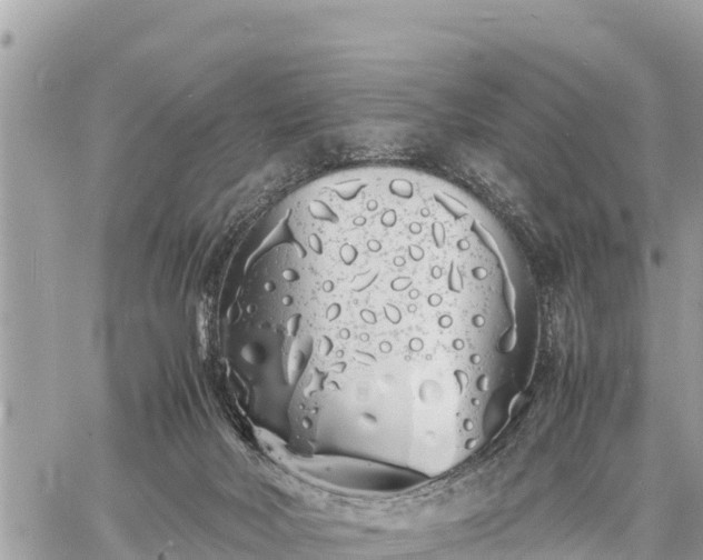 X0000060770026200511141309