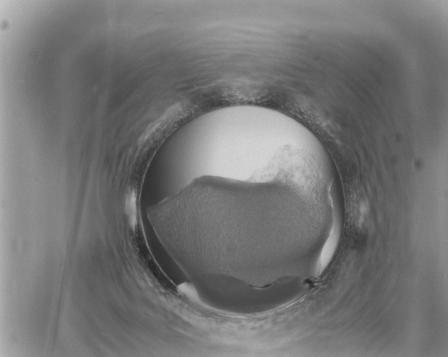 X0000060770027200511141309