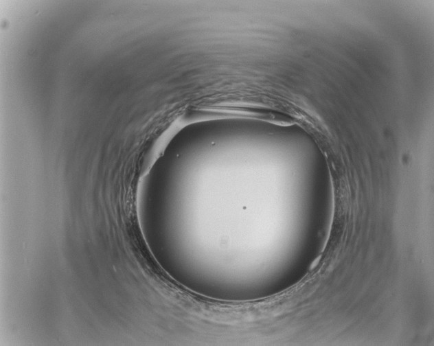 X0000060770029200511141309