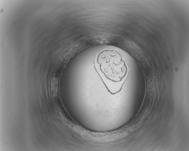 X0000060770030200511141309