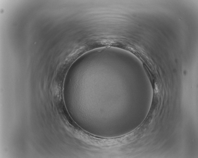 X0000060770031200511141309