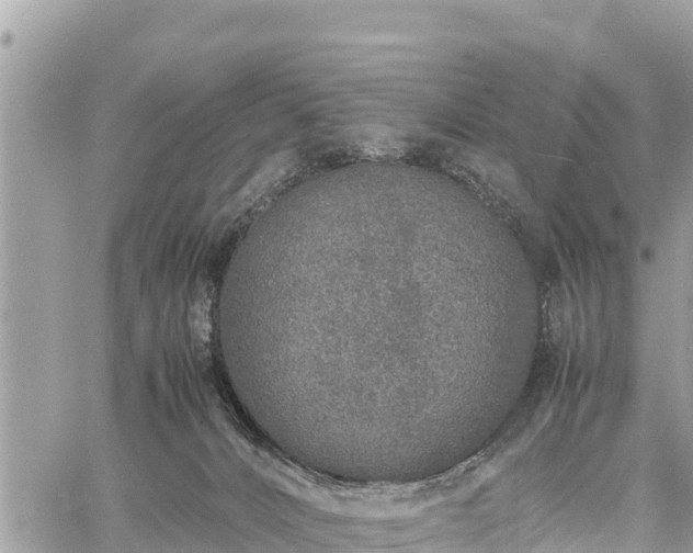 X0000060770032200511141309