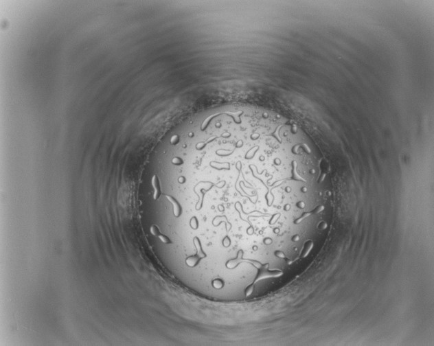 X0000060770034200511141309