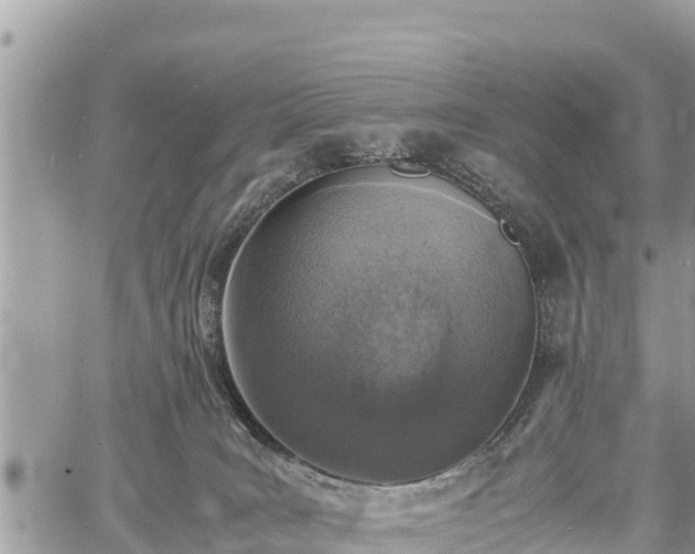 X0000060770035200511141309