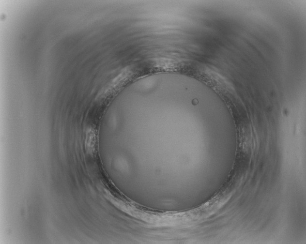 X0000060770036200511141309