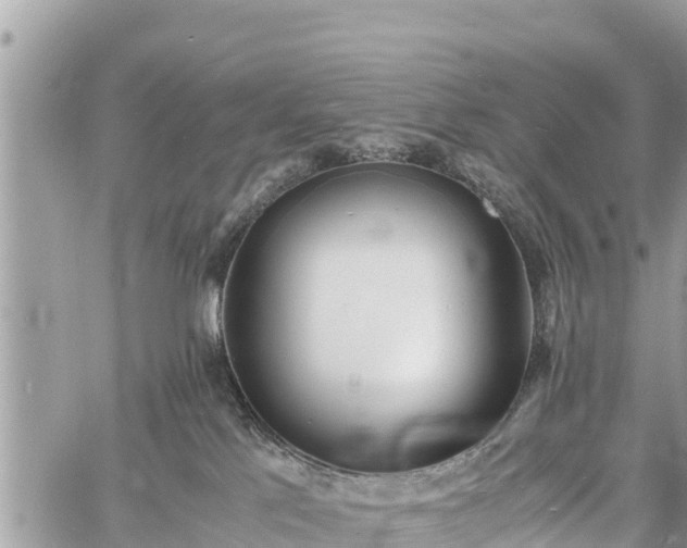 X0000060770041200511141309