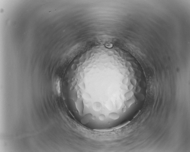 X0000060770042200511141309