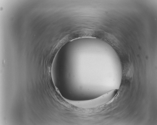 X0000060770045200511141309