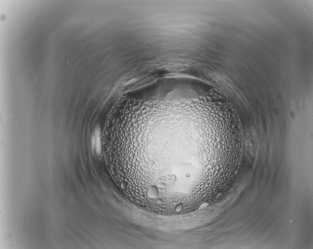 X0000060770046200511141309